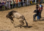 img_0647