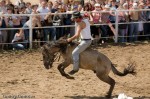 img_0710