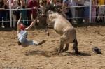 img_0712