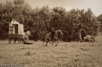 img_0818-edit