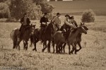 img_0832