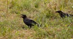 IMG_2614