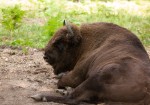 IMG_2655