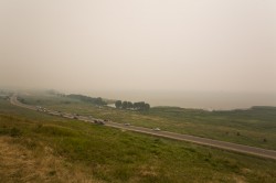 IMG_2743