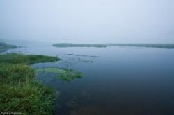 IMG_2773
