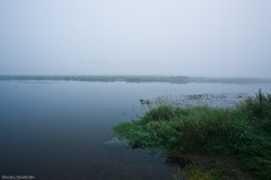 IMG_2774