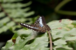 IMG_6590 IMG_6590