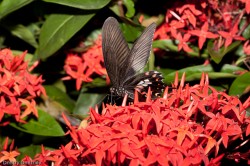 IMG_6635 IMG_6635